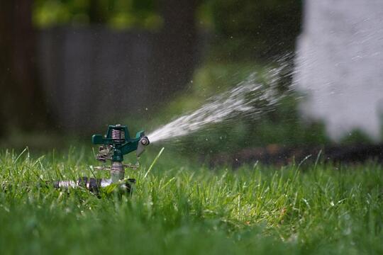 Sprinkler in yard image